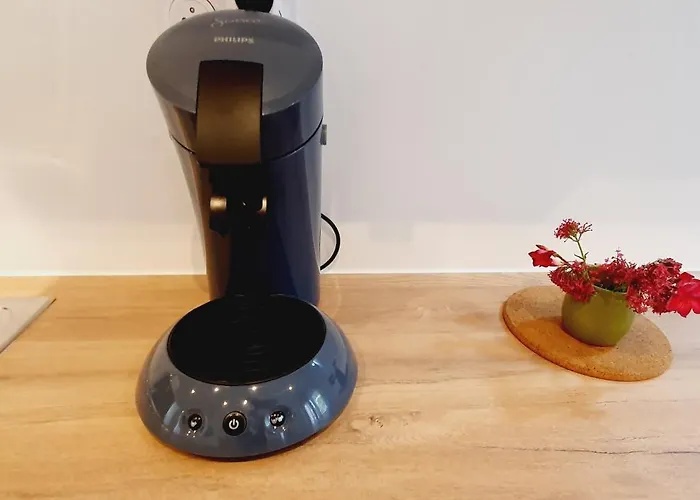 Via Domitia 公寓 *